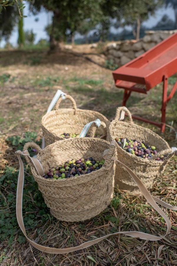 فندق Cortijo La Organic روندا المظهر الخارجي الصورة